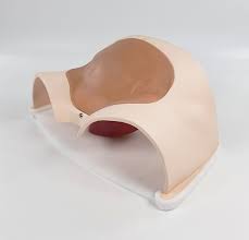 Cesarean Section Trainer